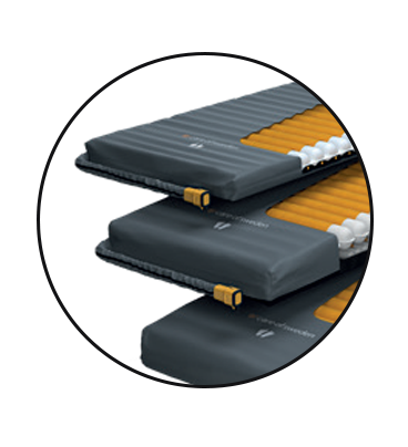 Facilitates during Transport